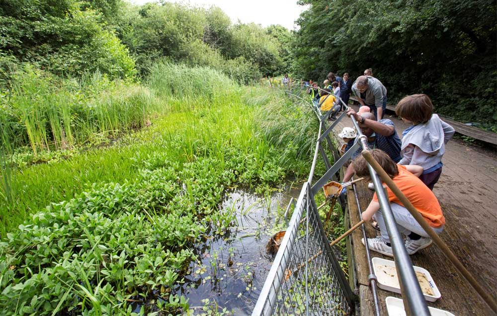 Schools Together Greener