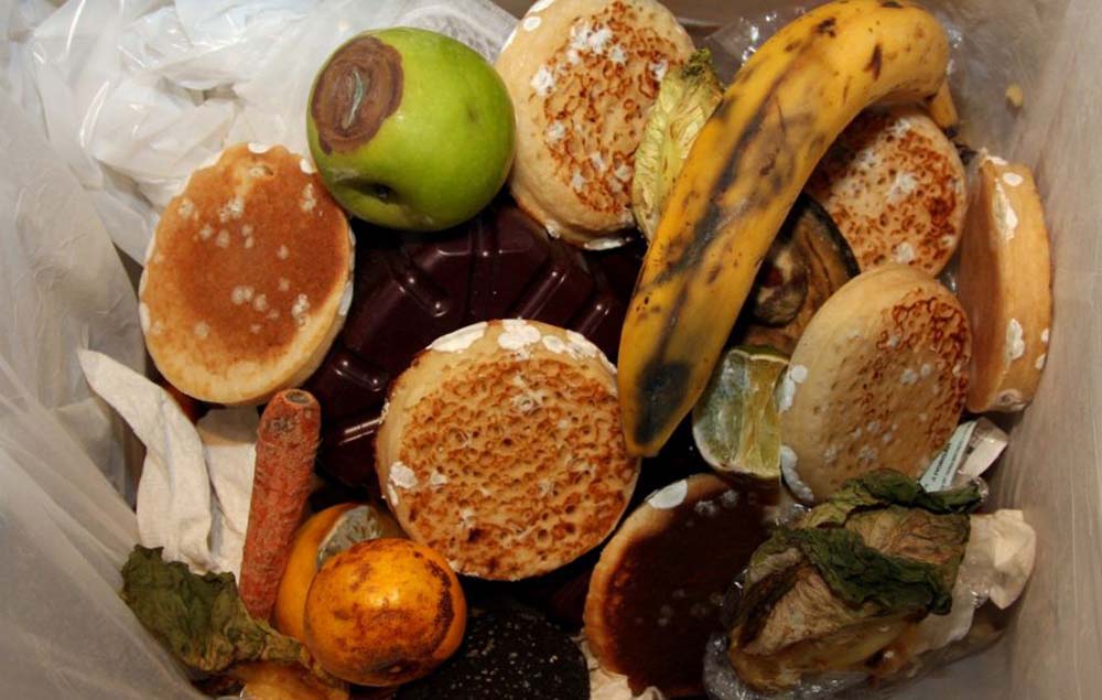 Food waste in a bin